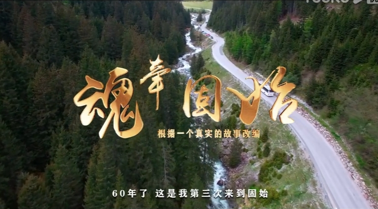 獲獎紀(jì)錄片?！痘隊抗淌肌?></div>
					<strong class=