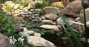 房地產(chǎn)宣傳片。建業(yè)集團(tuán)