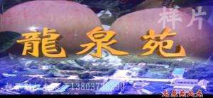 風(fēng)光片。龍泉苑