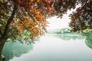 視界影視企業(yè)文化團建 | 關(guān)于舉辦《發(fā)現(xiàn)“春天”的美》攝影攝像比賽的通知 